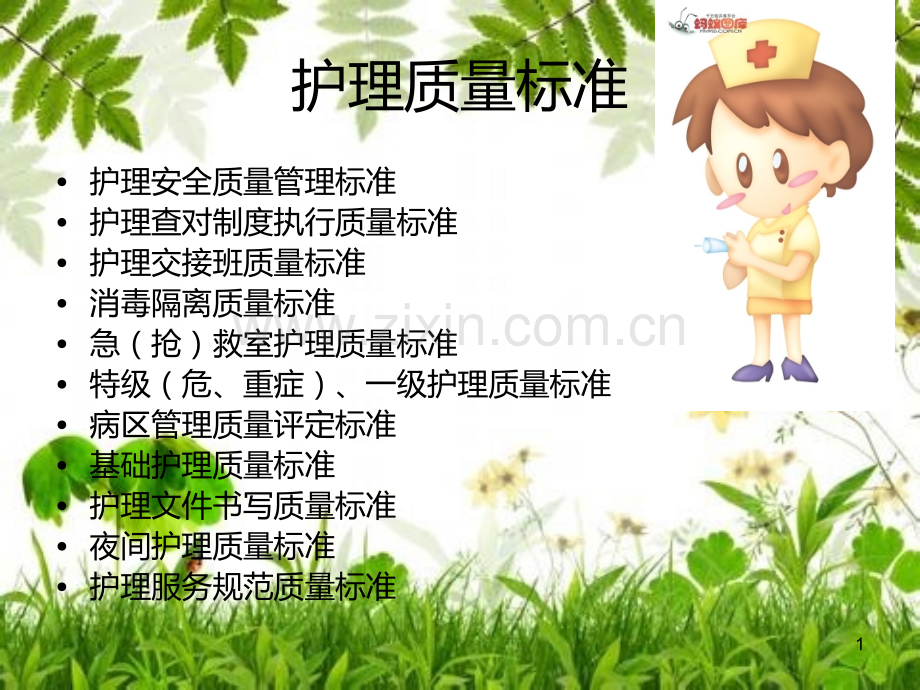 护理质量标准.ppt_第1页