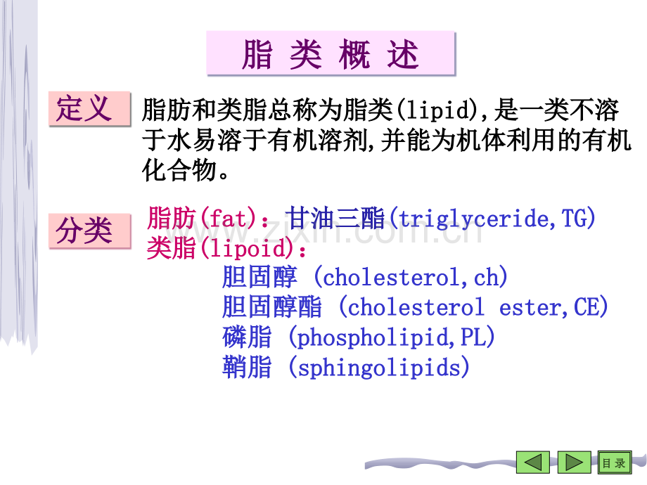 生物化学第五章脂类代谢.ppt_第2页