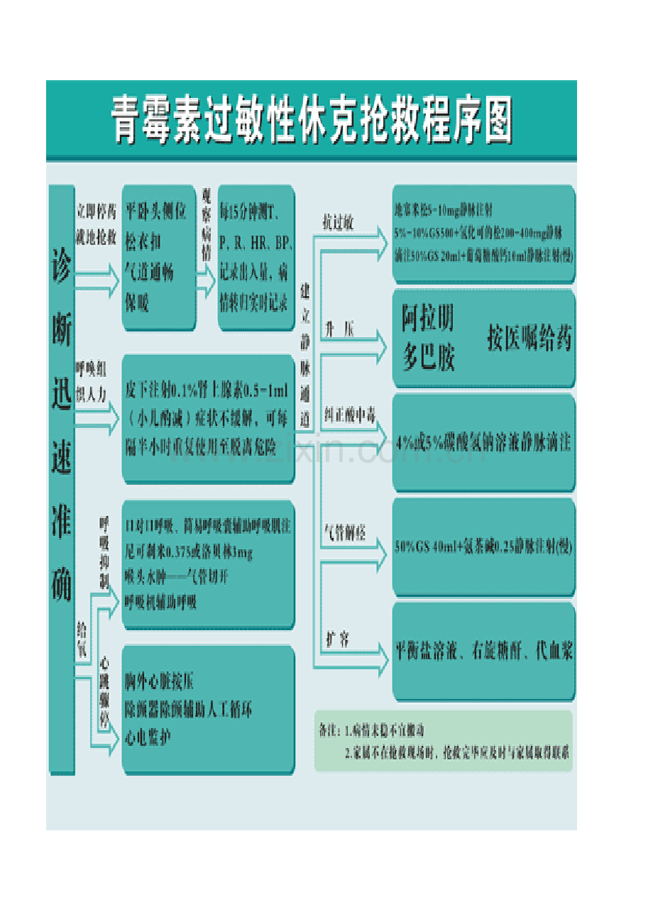 青霉素过敏性休克的抢救流程.doc_第2页