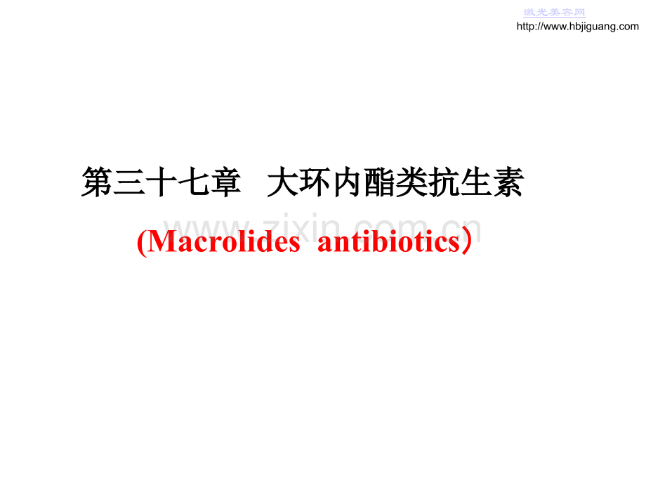 大环内酯类抗生素演示课件.ppt_第1页