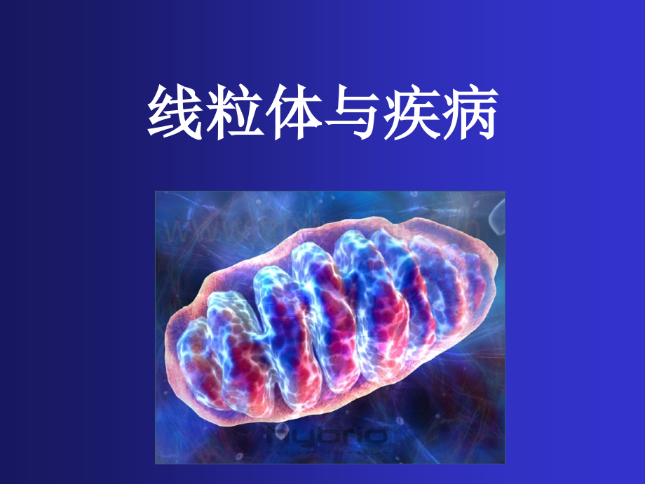 线粒体与疾病.ppt_第1页