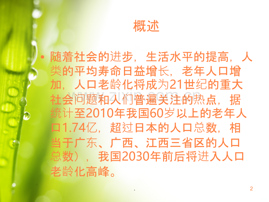 初级养老院护理技能、老年病人的护理.ppt_第2页