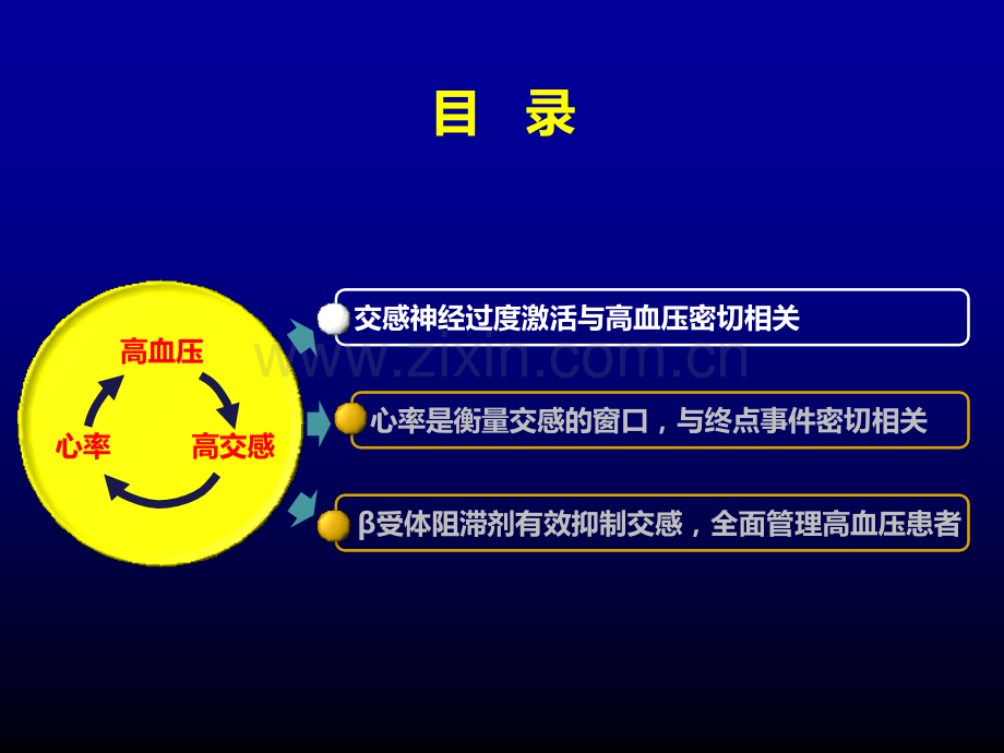 心率血压双重管理.ppt_第2页