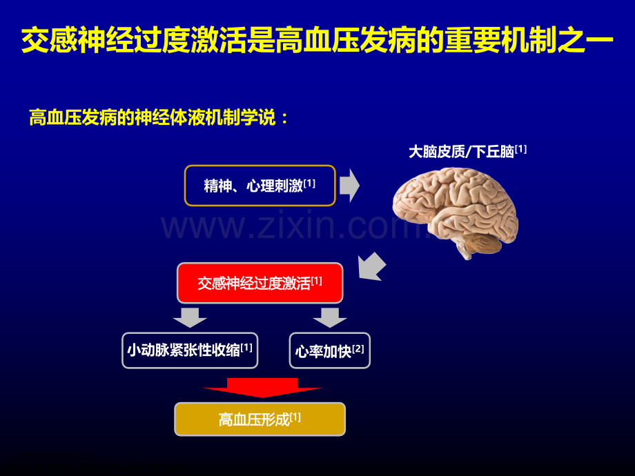 心率血压双重管理.ppt_第3页