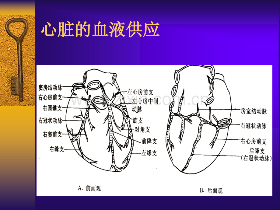 急性心肌梗死病例讨论.ppt_第3页