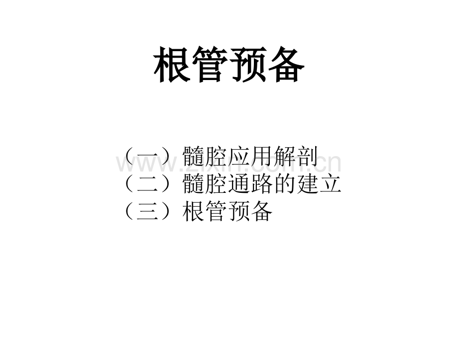 根管治疗.ppt_第2页