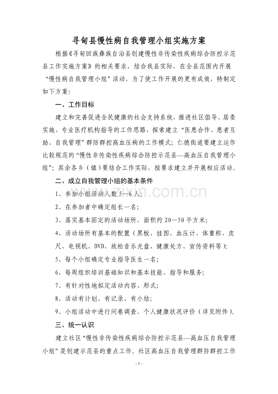 慢性病自我管理小组实施方案.doc_第1页