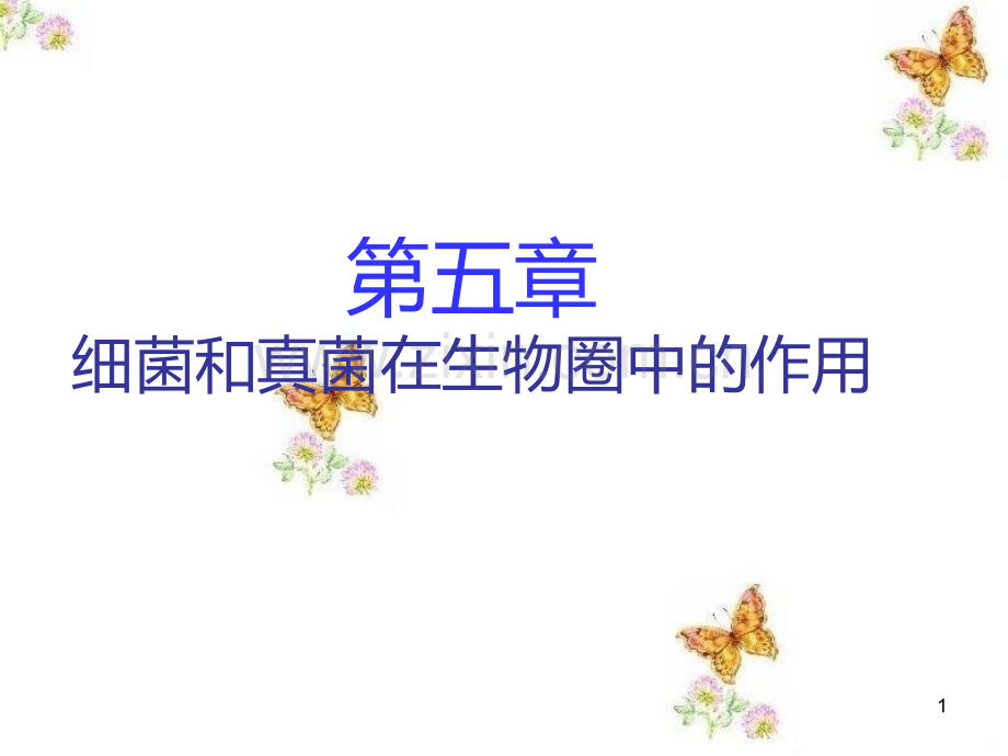 第一节细菌和真菌在生物圈中的作用.ppt_第1页