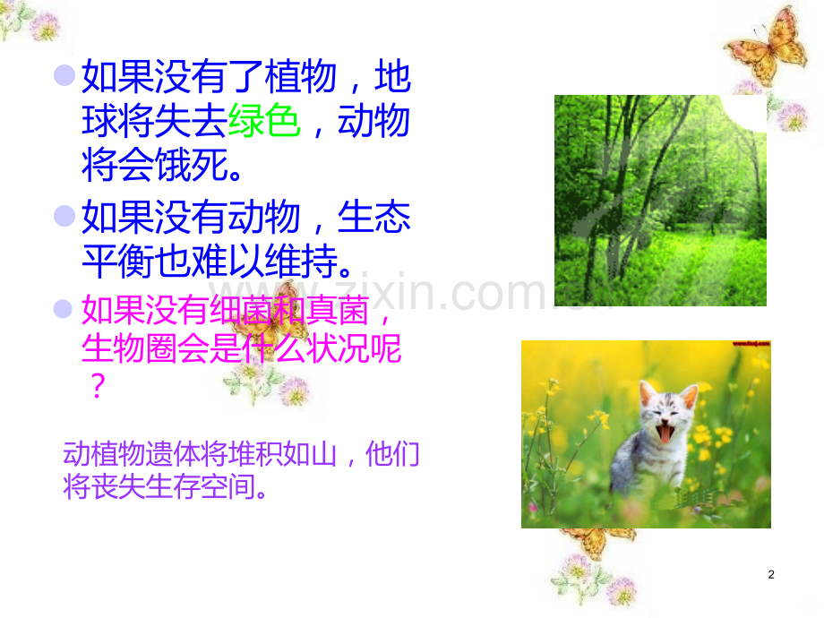 第一节细菌和真菌在生物圈中的作用.ppt_第2页