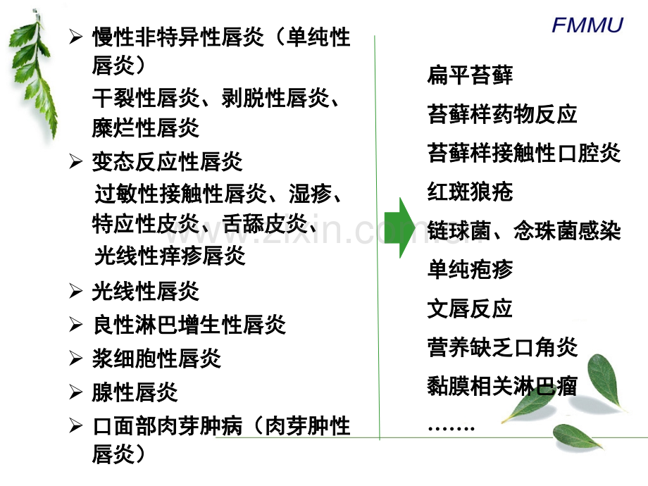 唇部炎症性疾病的鉴别诊断.pptx_第3页