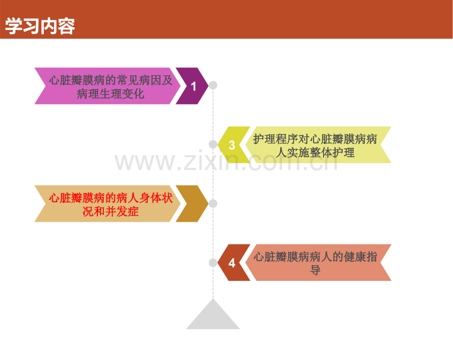 心脏瓣膜病病人的护理.ppt_第2页