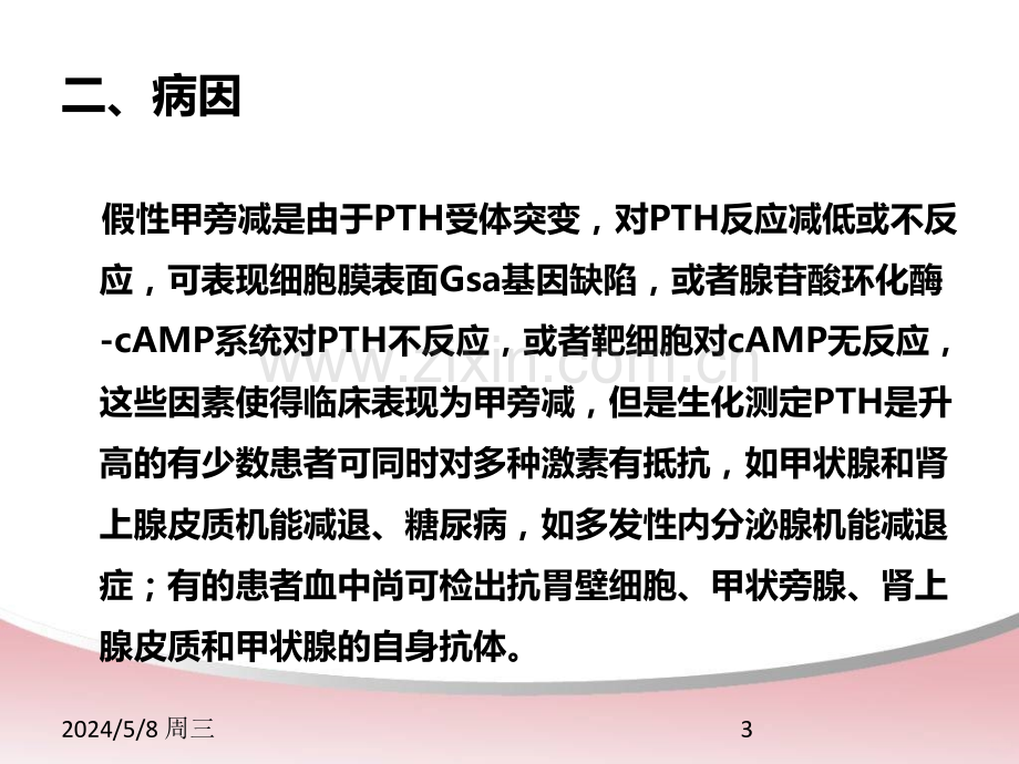 假性甲状旁腺功能减退症.ppt_第3页