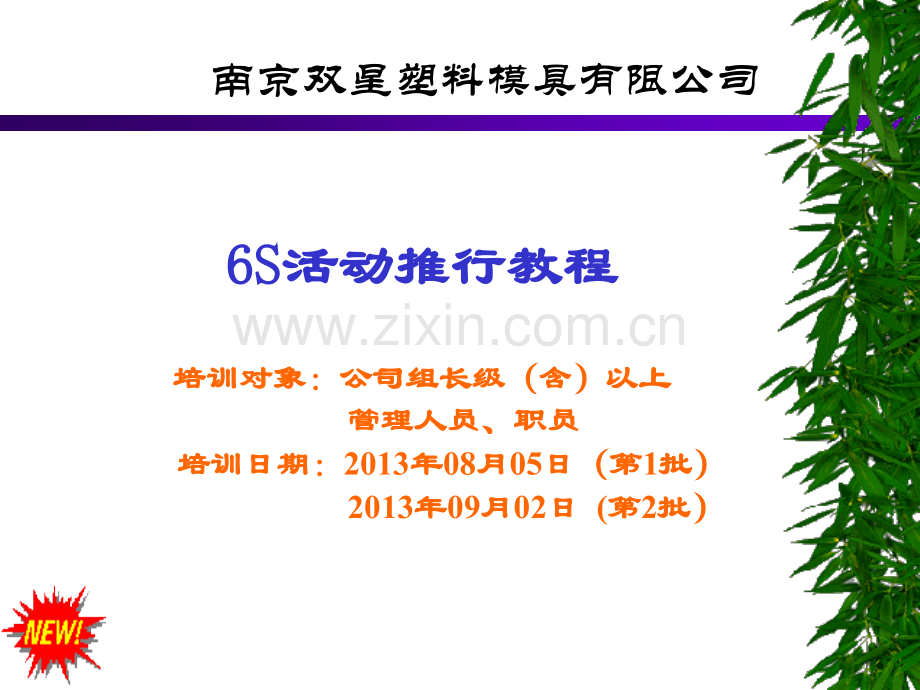 6S基础理论知识培训.ppt_第1页