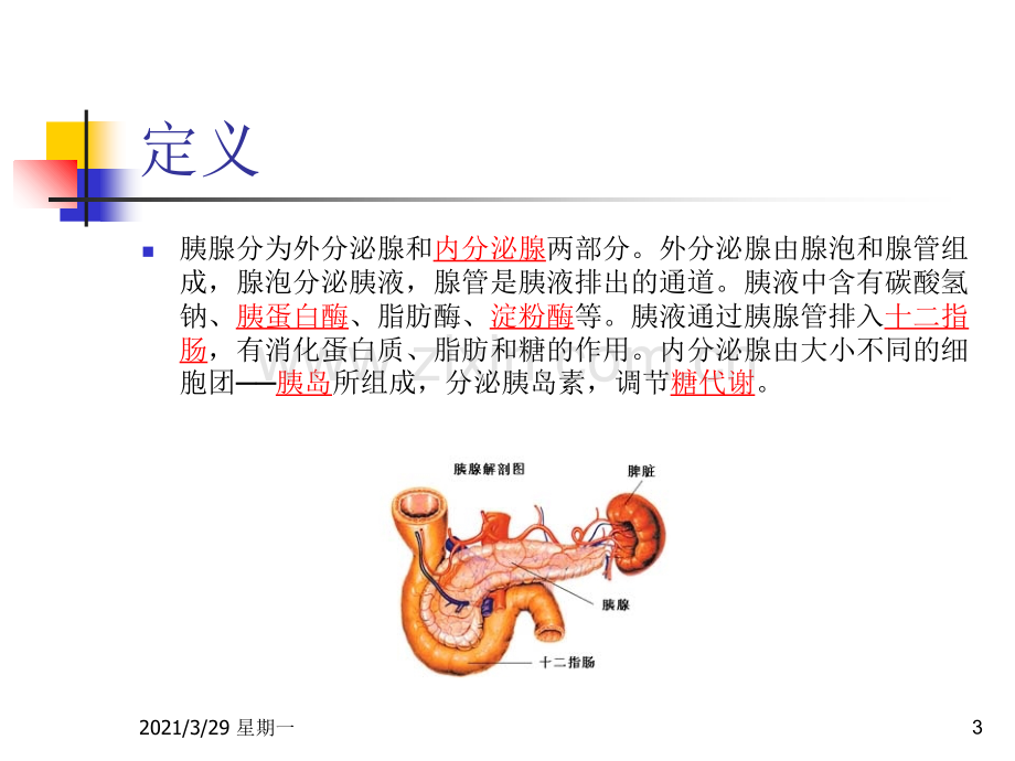 胰腺的解剖位置.ppt_第3页