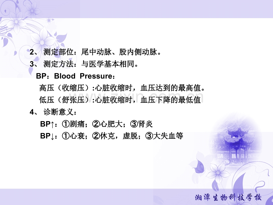 临床特殊器械检查.ppt_第3页