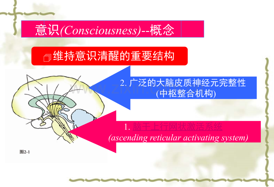 意识障碍的急救流程.ppt_第3页