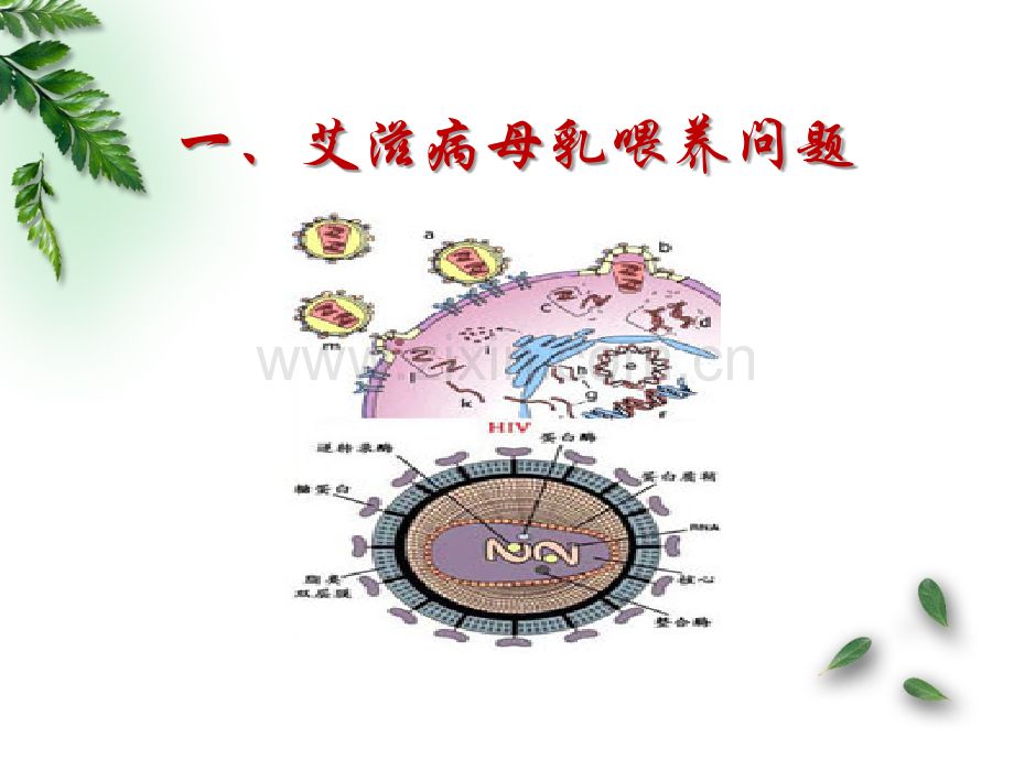 传染病母亲的母乳喂养.ppt_第3页