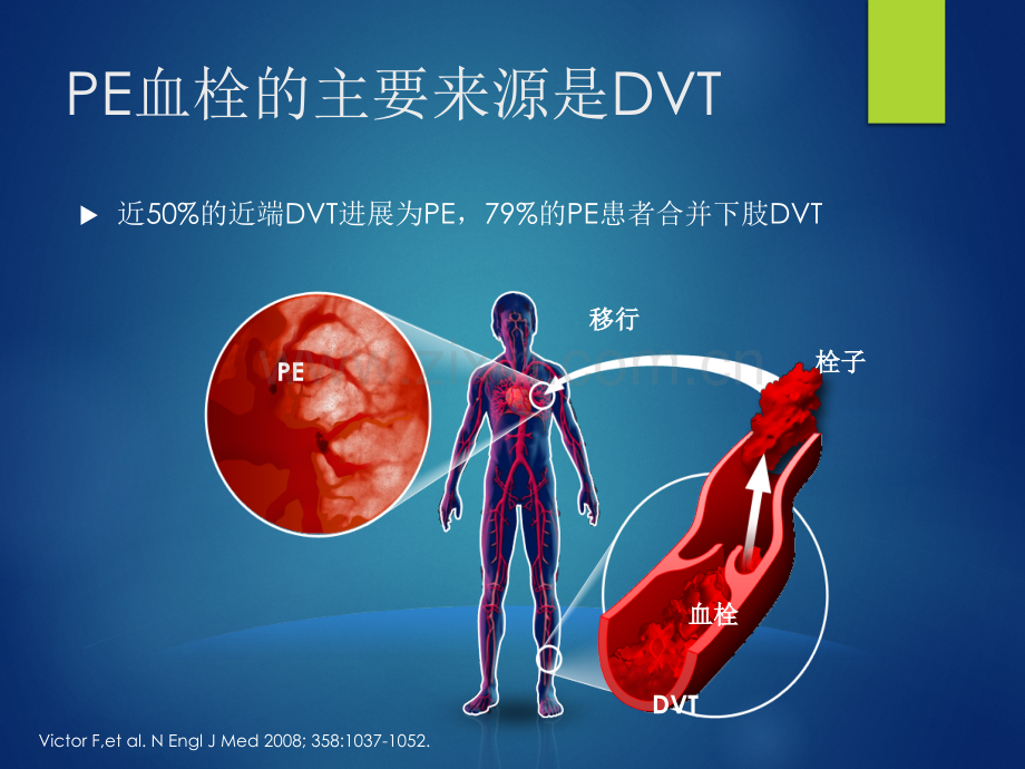 VTE的预防与治疗.pptx_第3页