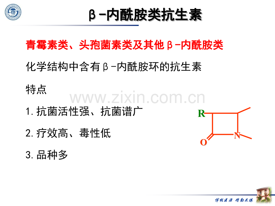 β内酰胺类抗生素.pptx_第2页