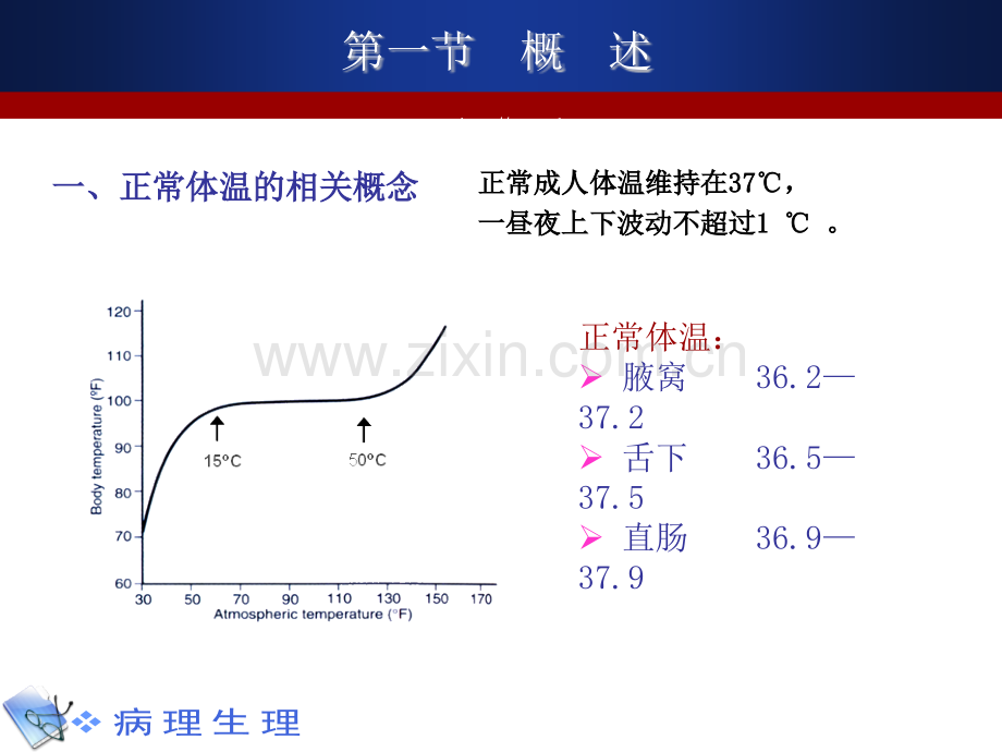 发热精美病理生理学课件及复习题.ppt_第3页