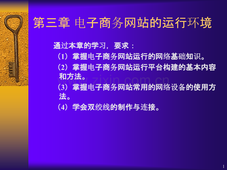 电子商务网站的运行环境.ppt_第1页