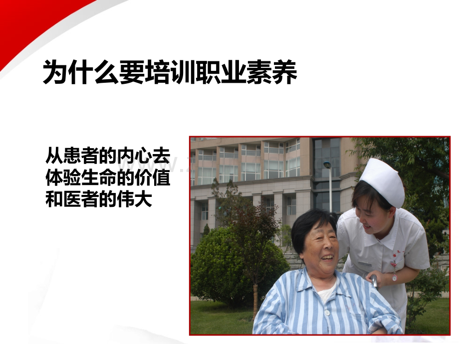 护士职业素养培训概述.ppt_第3页