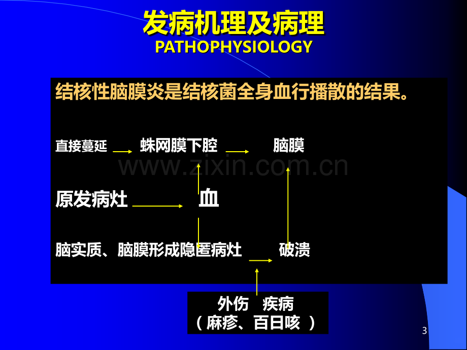 结核性脑膜炎的护理PPT课件.ppt_第3页