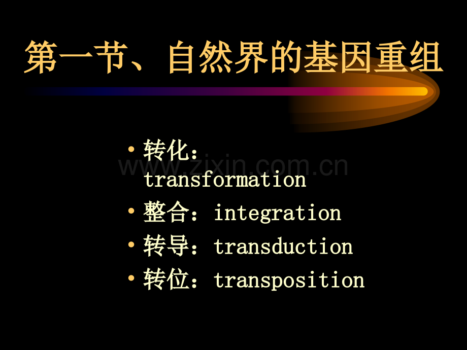 第十四章基因重组与基因工程.ppt_第3页