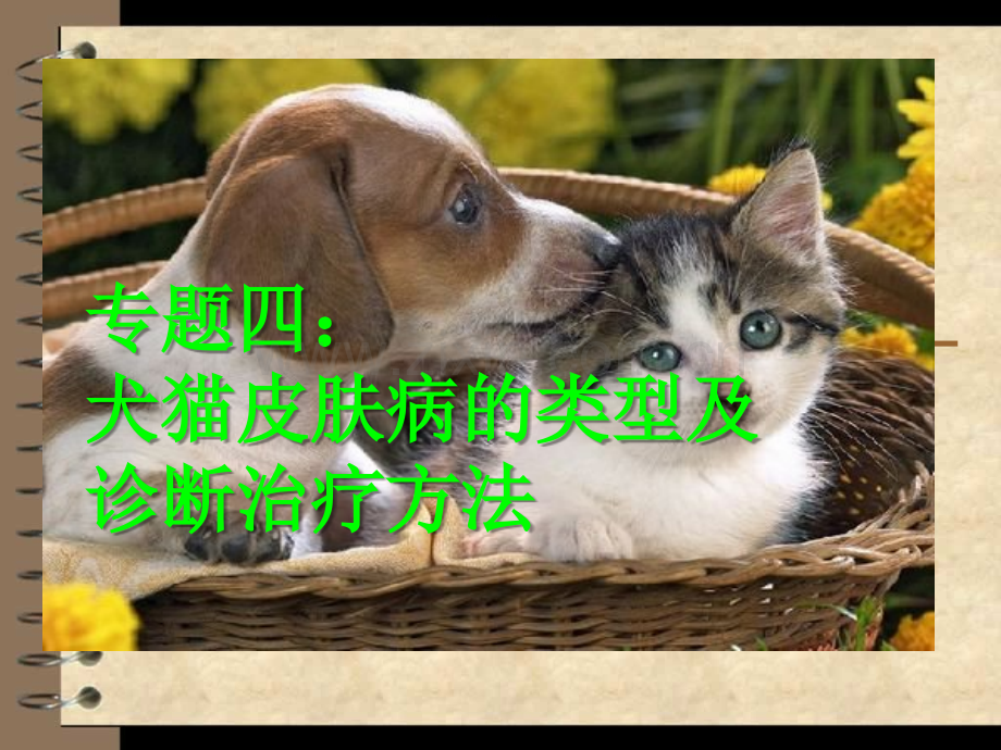 犬猫皮肤病的类型及诊断方法【动医11-2第一组】.ppt_第1页