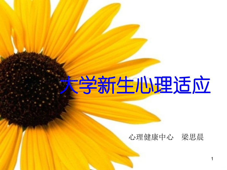 大学生心理健康教育(适应心理).ppt_第1页