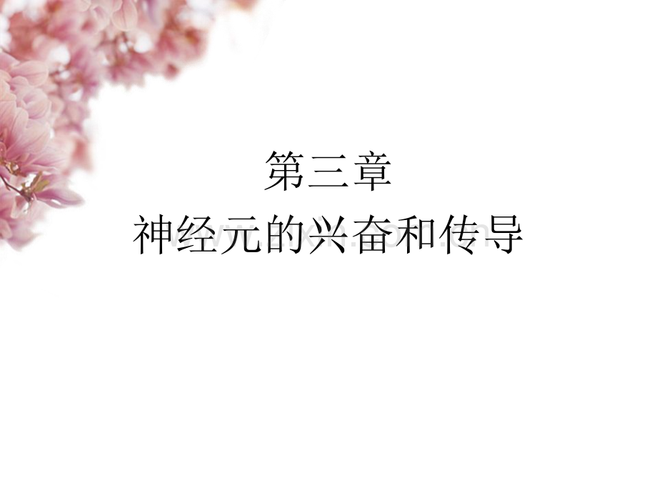 三篇神经元的兴奋和传导.ppt_第1页