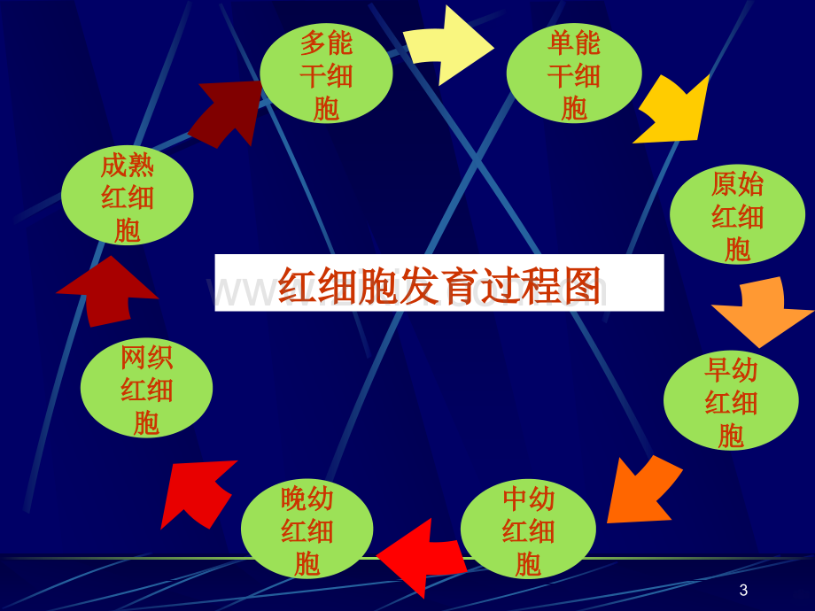 网织红细胞检测.ppt_第3页