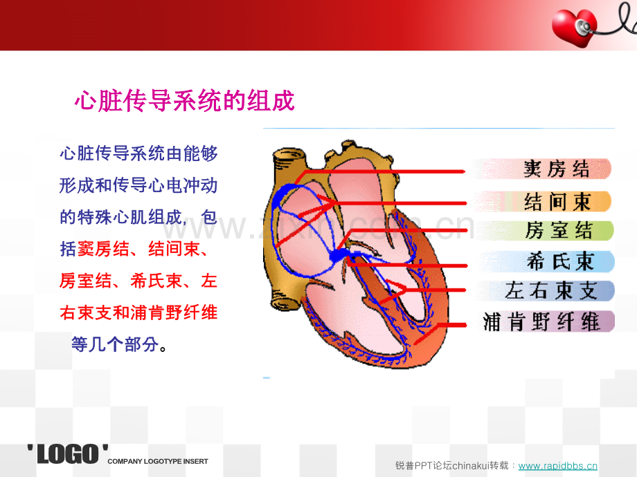 常见心律失常与护理.ppt_第3页