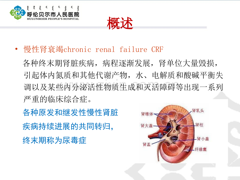 慢性肾功衰竭的护理.ppt_第2页