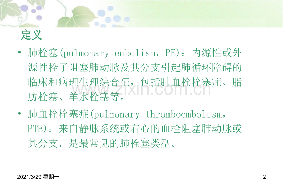 肺栓塞幻灯片.ppt_第2页