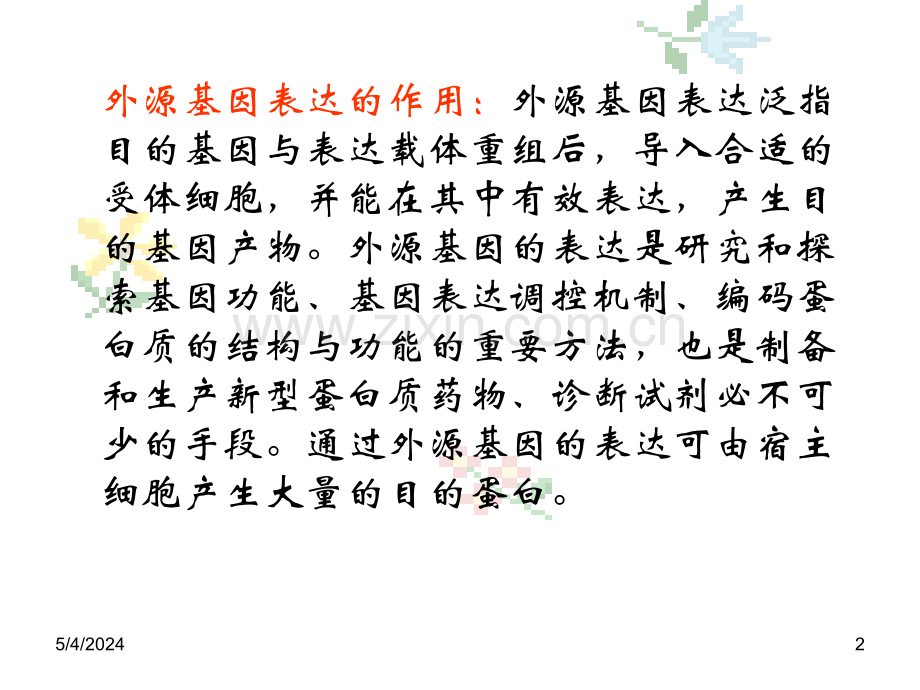 分子生物学：外源基因的原核表达1.ppt_第2页