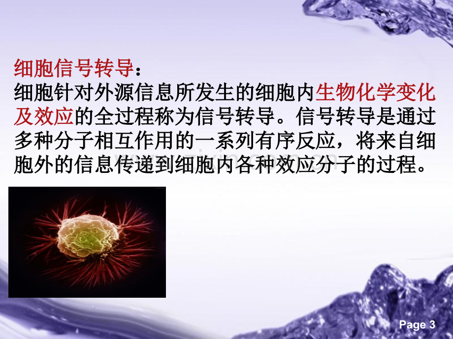 肿瘤与信号转导.ppt_第3页