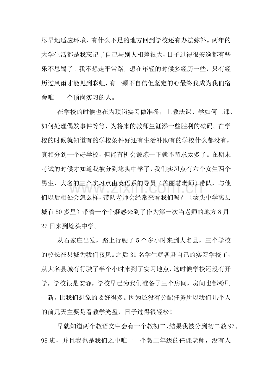 顶岗个人实习总结.doc_第2页