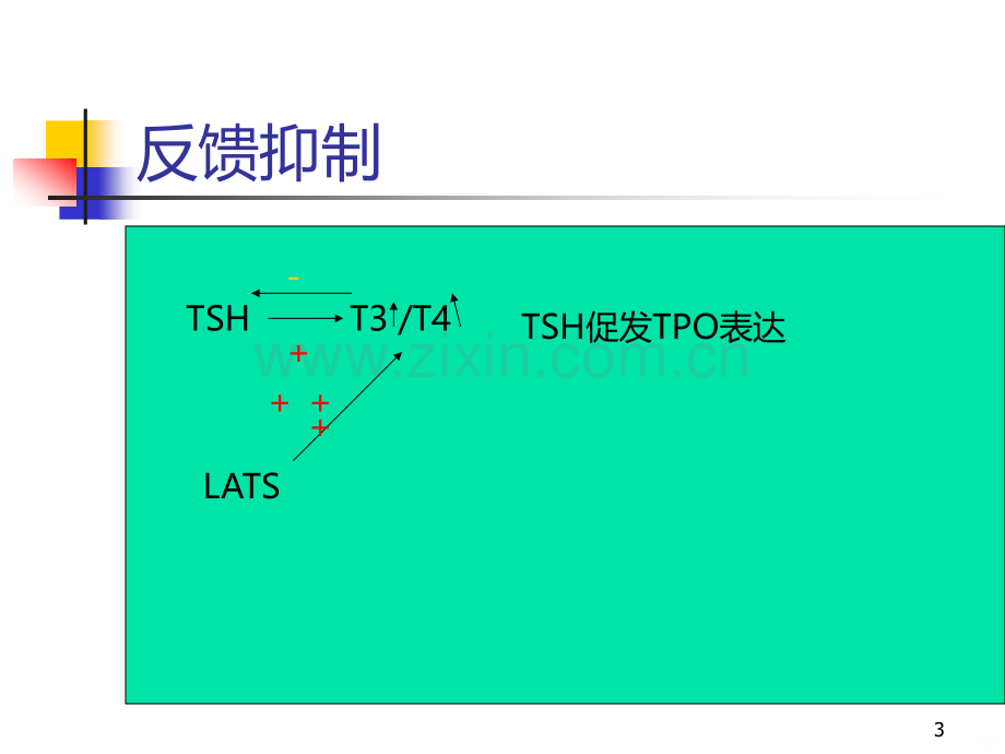 甲状腺自身抗体的临床意义.ppt_第3页