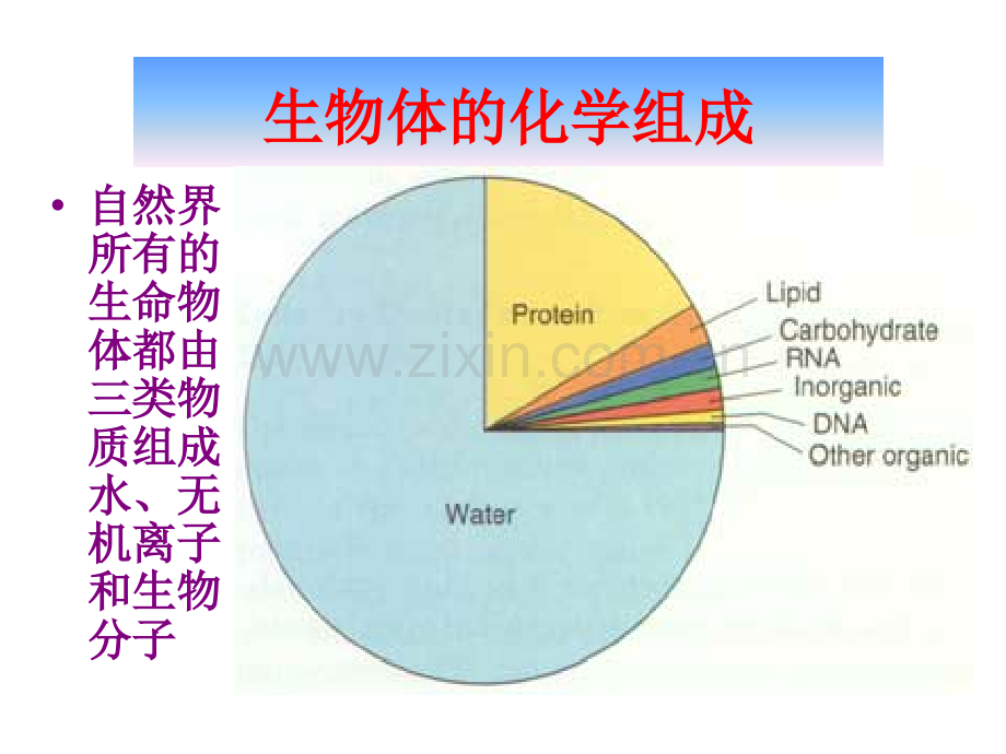 生物化学重点.ppt_第2页