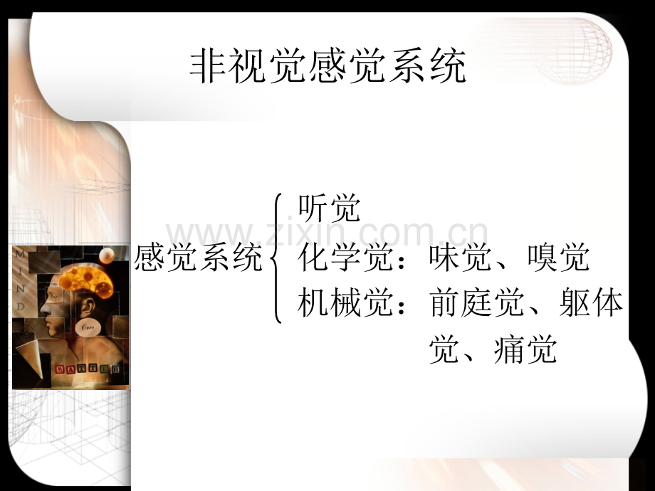 七非视觉感觉系统.ppt_第2页