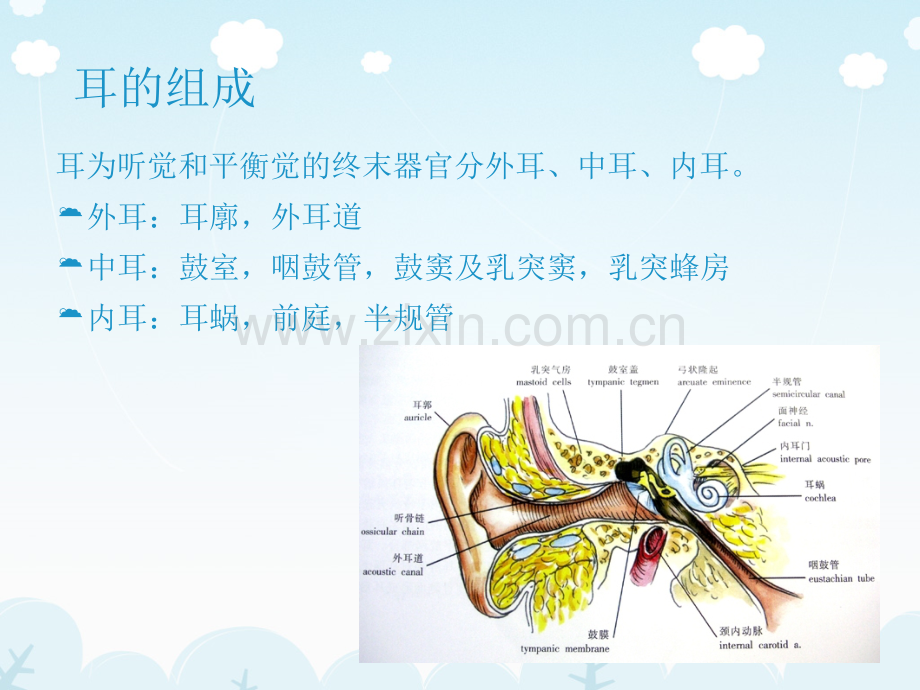 年医学影像耳的影像解剖及常见疾病诊断文档资料.ppt_第1页