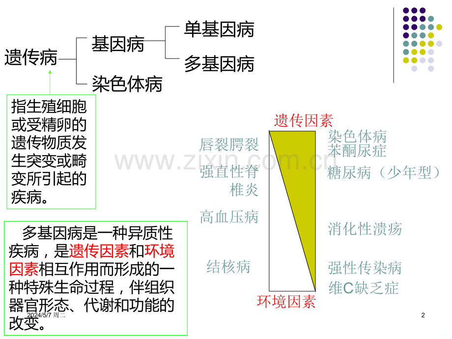 疾病的分子生物学.ppt_第2页