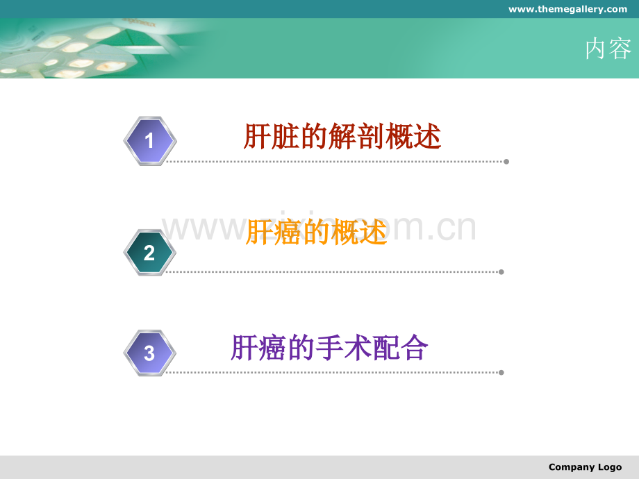 肝脏的解剖和手术配合.ppt_第2页