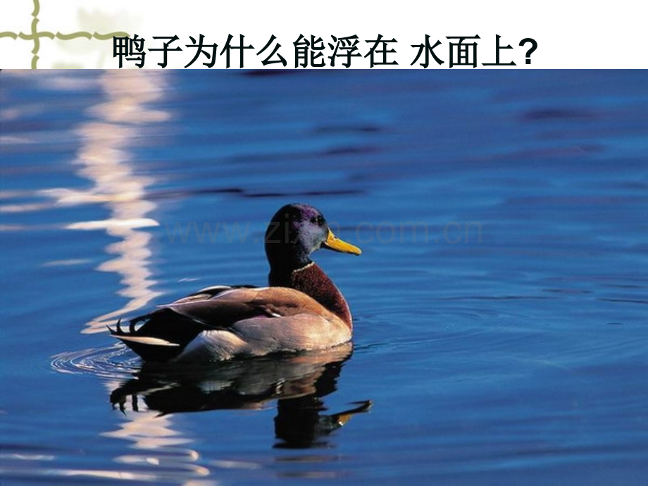 浮力(压力差).ppt_第3页