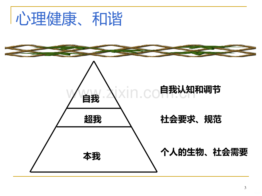 活动课的设计—姚立新.ppt_第3页