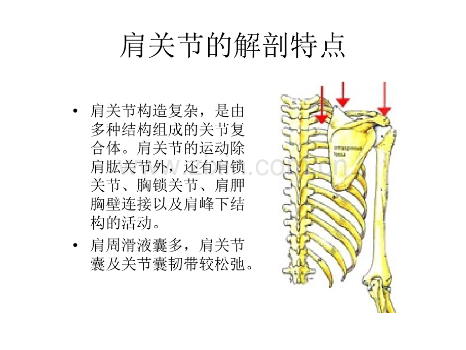 肩外展的康复演示课件.ppt_第2页