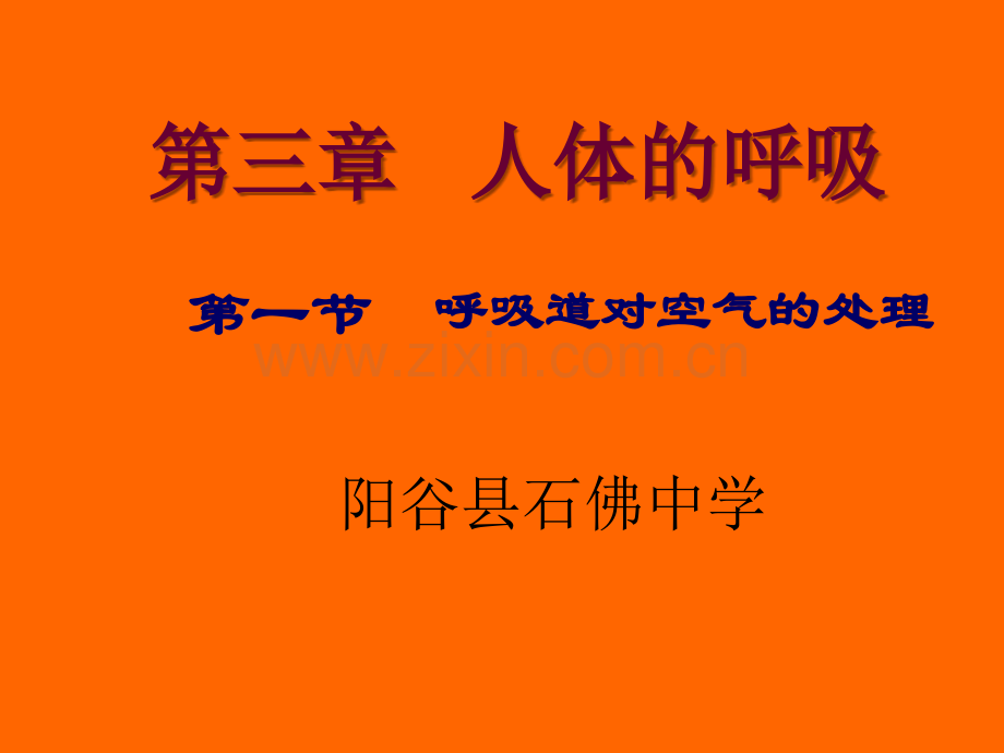 呼吸道对空气的处理课件.ppt_第1页