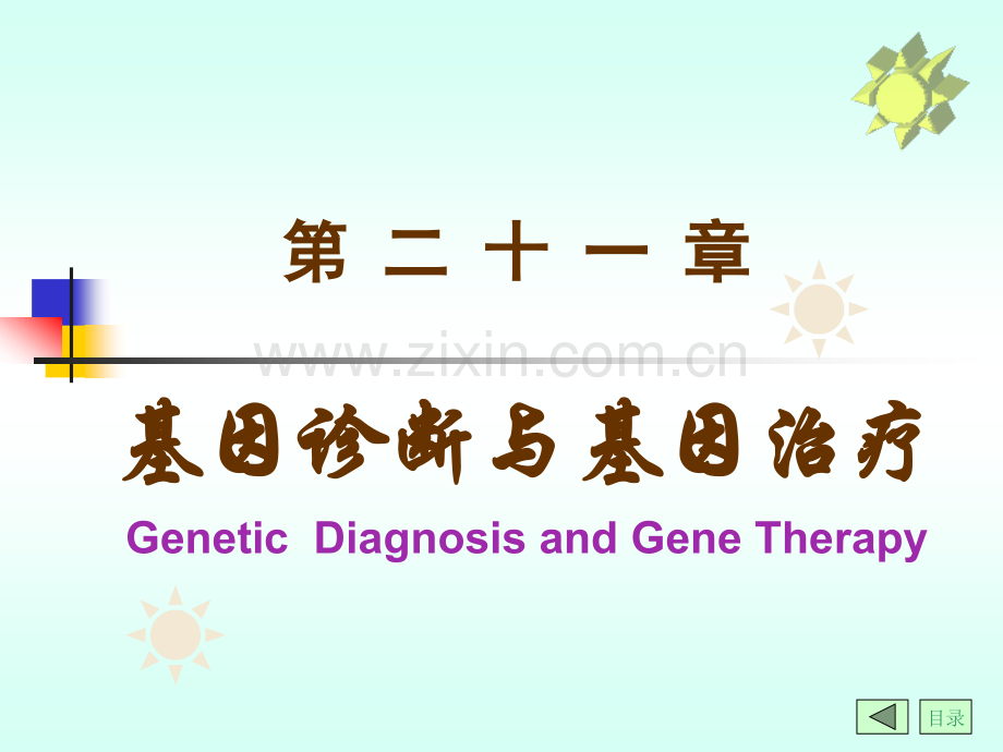 生物化学第4篇-第21章-专题篇--基因诊断与基因治疗.ppt_第1页