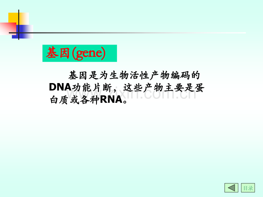 生物化学第4篇-第21章-专题篇--基因诊断与基因治疗.ppt_第2页